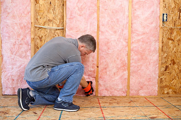 Best Insulation Maintenance and Repair in Dunnavant, AL