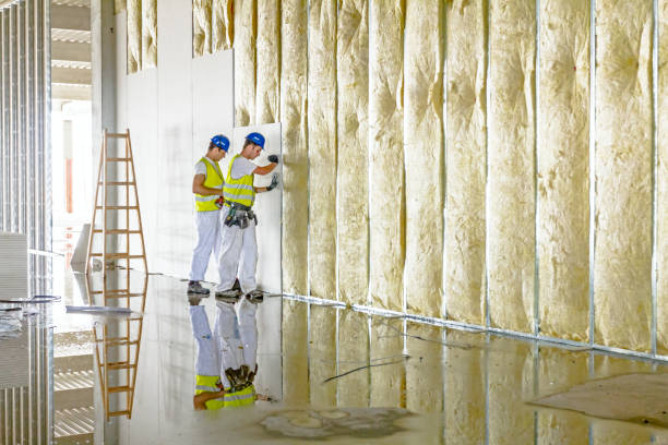 Best Types of Insulation in Dunnavant, AL